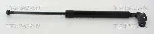 Gasfeder, Koffer-/Laderaum rechts TRISCAN 8710 13291