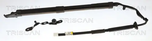 Gasfeder, Koffer-/Laderaum links TRISCAN 8710 13305