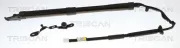 Gasfeder, Koffer-/Laderaum links TRISCAN 8710 13305