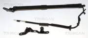 Gasfeder, Koffer-/Laderaum rechts TRISCAN 8710 13306