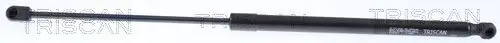 Gasfeder, Koffer-/Laderaum TRISCAN 8710 14221