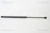Gasfeder, Koffer-/Laderaum TRISCAN 8710 14243
