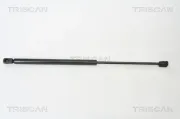 Gasfeder, Koffer-/Laderaum TRISCAN 8710 14243