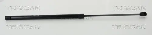 Gasfeder, Koffer-/Laderaum hinten links hinten rechts TRISCAN 8710 14255