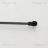 Gasfeder, Koffer-/Laderaum TRISCAN 8710 14256 Bild Gasfeder, Koffer-/Laderaum TRISCAN 8710 14256