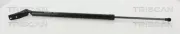 Gasfeder, Koffer-/Laderaum TRISCAN 8710 14257