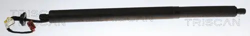 Gasfeder, Koffer-/Laderaum rechts TRISCAN 8710 14302
