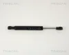 Gasfeder, Motorhaube TRISCAN 8710 15103