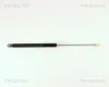 Gasfeder, Koffer-/Laderaum TRISCAN 8710 15214