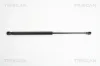 Gasfeder, Koffer-/Laderaum TRISCAN 8710 15232