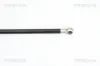 Gasfeder, Koffer-/Laderaum TRISCAN 8710 15236 Bild Gasfeder, Koffer-/Laderaum TRISCAN 8710 15236