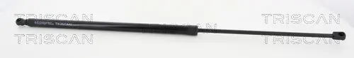 Gasfeder, Koffer-/Laderaum TRISCAN 8710 15243