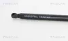 Gasfeder, Koffer-/Laderaum TRISCAN 8710 15243 Bild Gasfeder, Koffer-/Laderaum TRISCAN 8710 15243