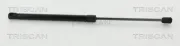 Gasfeder, Koffer-/Laderaum hinten links hinten rechts TRISCAN 8710 15255