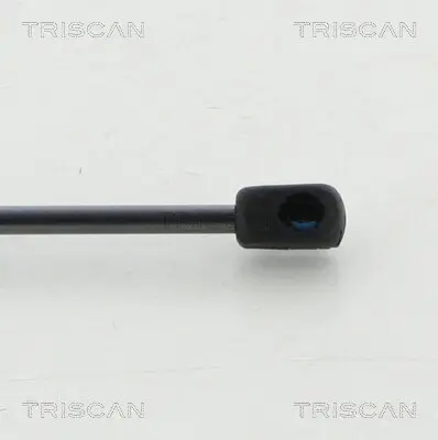 Gasfeder, Koffer-/Laderaum hinten links hinten rechts TRISCAN 8710 15255 Bild Gasfeder, Koffer-/Laderaum hinten links hinten rechts TRISCAN 8710 15255