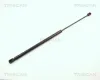Gasfeder, Koffer-/Laderaum TRISCAN 8710 1610