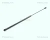 Gasfeder, Koffer-/Laderaum TRISCAN 8710 1621