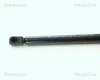 Gasfeder, Koffer-/Laderaum TRISCAN 8710 1621 Bild Gasfeder, Koffer-/Laderaum TRISCAN 8710 1621