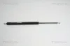 Gasfeder, Koffer-/Laderaum hinten links hinten rechts TRISCAN 8710 16244