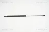 Gasfeder, Koffer-/Laderaum hinten links hinten rechts TRISCAN 8710 16252