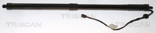 Gasfeder, Koffer-/Laderaum hinten links TRISCAN 8710 16301