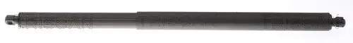 Gasfeder, Koffer-/Laderaum TRISCAN 8710 16305