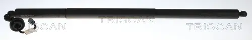 Gasfeder, Koffer-/Laderaum links TRISCAN 8710 16315