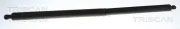 Gasfeder, Koffer-/Laderaum hinten rechts TRISCAN 8710 16316