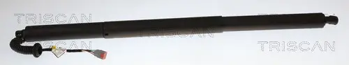Gasfeder, Koffer-/Laderaum hinten links hinten rechts TRISCAN 8710 16318