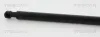 Gasfeder, Motorhaube vorne links vorne rechts TRISCAN 8710 17105 Bild Gasfeder, Motorhaube vorne links vorne rechts TRISCAN 8710 17105