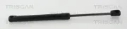 Gasfeder, Motorhaube vorne links vorne rechts TRISCAN 8710 17106