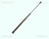 Gasfeder, Koffer-/Laderaum TRISCAN 8710 17205