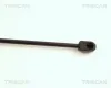 Gasfeder, Koffer-/Laderaum TRISCAN 8710 17205 Bild Gasfeder, Koffer-/Laderaum TRISCAN 8710 17205