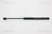 Gasfeder, Koffer-/Laderaum TRISCAN 8710 17212