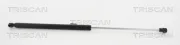 Gasfeder, Koffer-/Laderaum hinten links hinten rechts TRISCAN 8710 17216