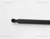 Gasfeder, Koffer-/Laderaum hinten links hinten rechts TRISCAN 8710 17216 Bild Gasfeder, Koffer-/Laderaum hinten links hinten rechts TRISCAN 8710 17216