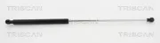 Gasfeder, Koffer-/Laderaum hinten links hinten rechts TRISCAN 8710 17217