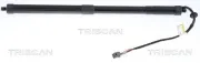 Gasfeder, Koffer-/Laderaum TRISCAN 8710 17301