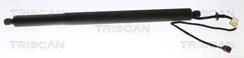 Gasfeder, Koffer-/Laderaum TRISCAN 8710 17302