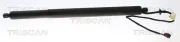 Gasfeder, Koffer-/Laderaum TRISCAN 8710 17302