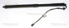 Gasfeder, Koffer-/Laderaum TRISCAN 8710 17303