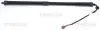 Gasfeder, Koffer-/Laderaum TRISCAN 8710 17305 Bild Gasfeder, Koffer-/Laderaum TRISCAN 8710 17305