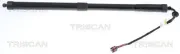 Gasfeder, Koffer-/Laderaum TRISCAN 8710 17305