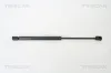 Gasfeder, Motorhaube TRISCAN 8710 18101