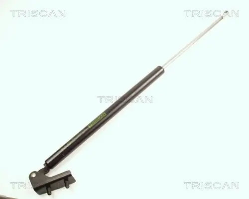 Gasfeder, Koffer-/Laderaum rechts TRISCAN 8710 18202