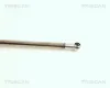 Gasfeder, Koffer-/Laderaum rechts TRISCAN 8710 18202 Bild Gasfeder, Koffer-/Laderaum rechts TRISCAN 8710 18202