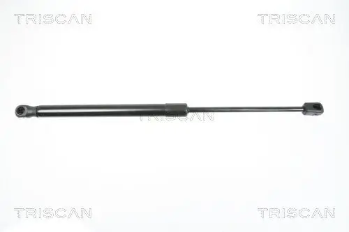 Gasfeder, Koffer-/Laderaum hinten links hinten rechts TRISCAN 8710 18223