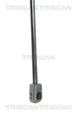 Gasfeder, Koffer-/Laderaum hinten links hinten rechts TRISCAN 8710 18223 Bild Gasfeder, Koffer-/Laderaum hinten links hinten rechts TRISCAN 8710 18223