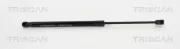 Gasfeder, Koffer-/Laderaum TRISCAN 8710 18232
