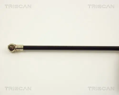 Gasfeder, Motorhaube TRISCAN 8710 2002 Bild Gasfeder, Motorhaube TRISCAN 8710 2002